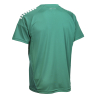 Футболка SELECT Spain v25 player shirt striped s/s Green- White